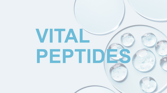 Strengthening Your Skin’s Foundation: How Peptides Boost Skin’s Cell Junctions and Resilience